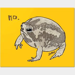 froggie says NO Posters and Art